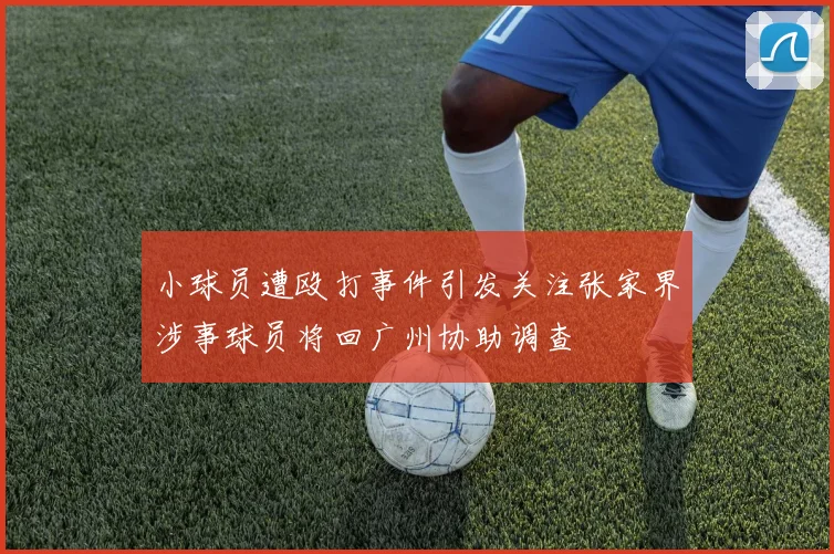 小球员遭殴打事件引发关注张家界涉事球员将回广州协助调查