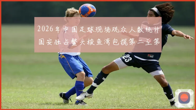 2026年中国足球现场观众人数统计国安独占鳌头梭鱼湾包揽第二至第七位